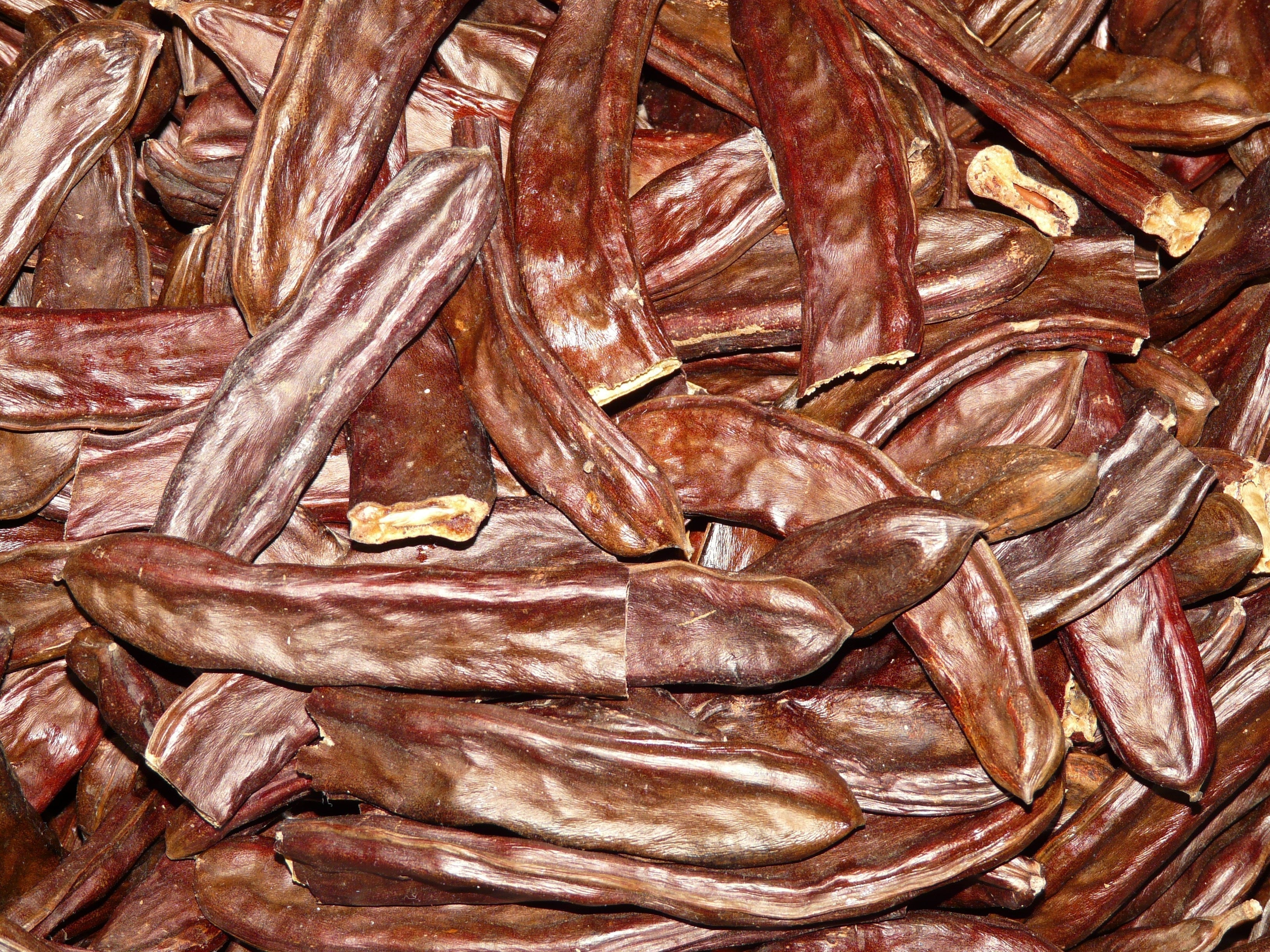 What is Carob?